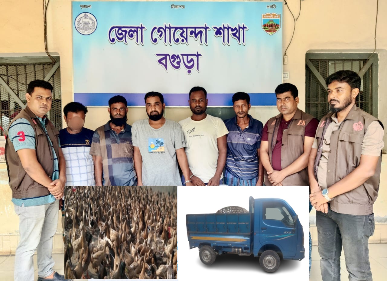 বগুড়ায় পাতি হাঁস লুটের মামলায় আন্তঃজেলা ডাকাত চক্রের ৫ সক্রিয় সদস্য গ্রেফতার