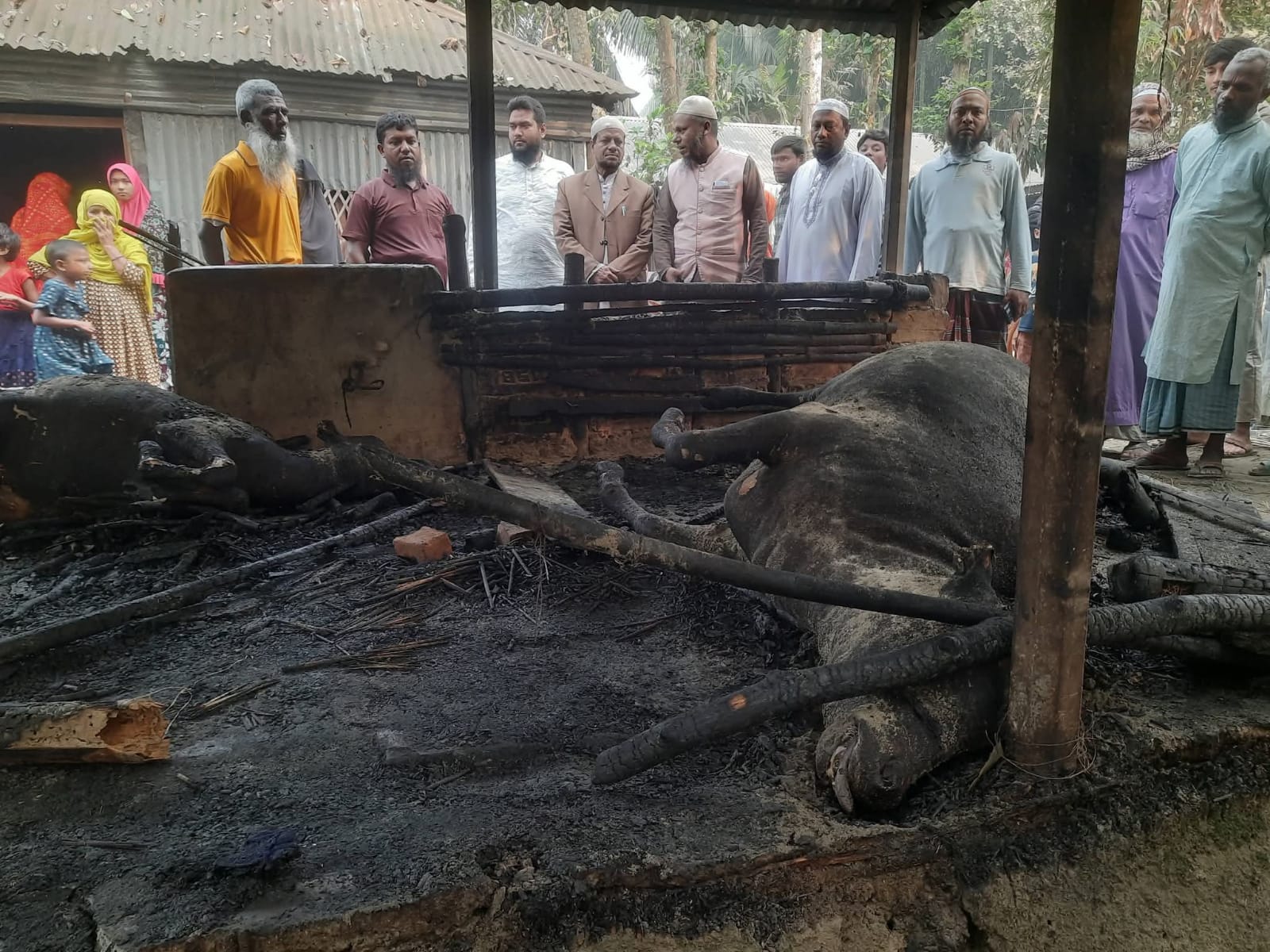 সাঘাটায় গোয়াল ঘরে বৈদ্যুতিক শর্ট সার্কিটে  আগুন লাগিয়ে ৪ লক্ষাধিক টাকার ক্ষতি