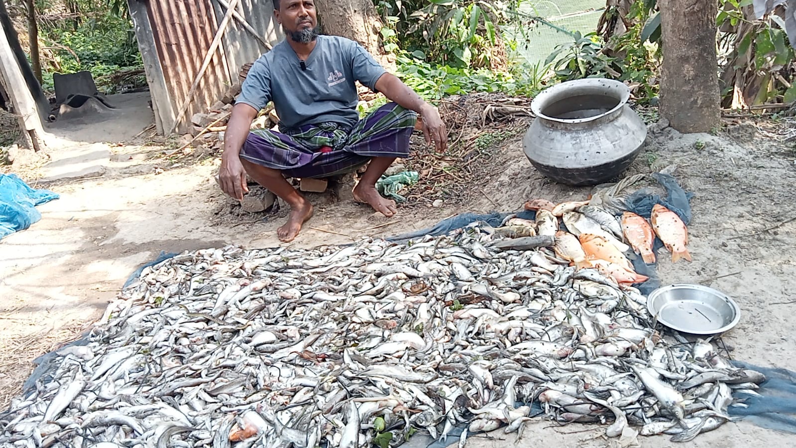 কাহালুর পাইকড়ে মৎস্য চাষীর ২০ লক্ষ টাকার মাছ নিধনের অভিযোগ
