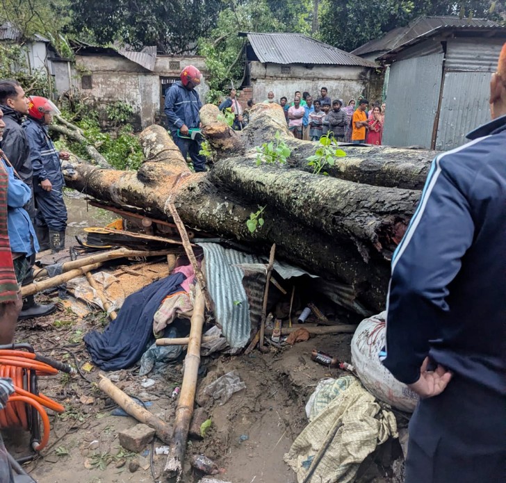 বগুড়ার গাবতলীতে কালবৈশাখী ঝড়ে দোকানের ওপর গাছ পড়ে পান ব্যবসায়ীর মৃত্যু