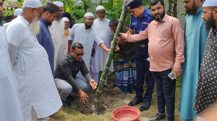 সারিয়াকান্দির হিন্দুকান্দী গোরস্থানে উপজেলা প্রশাসনের বাঁশ রাইজোম ও বৃক্ষ রোপন