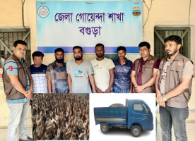 বগুড়ায় পাতি হাঁস লুটের মামলায় আন্তঃজেলা ডাকাত চক্রের ৫ সক্রিয় সদস্য গ্রেফতার