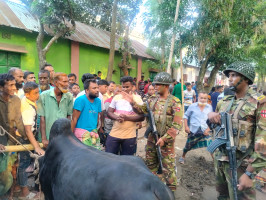 সেনাবাহিনীর অভিযানে শেরপুরে কুরবানির পশুর হাটে অতিরিক্ত ইজারা আদায় বন্ধ