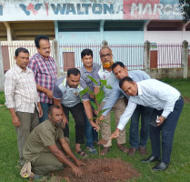 বিশ্ব পরিবেশ দিবস উপলক্ষে বগুড়া জেলা ক্রীড়া সংস্থার বৃক্ষরোপণ কর্মসূচি উদ্বোধন